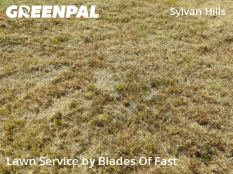 Lawn Care nearby Atlanta, GA, 