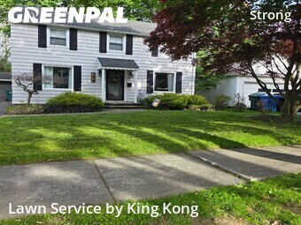 Backyard Landscaping In Rochester,14620,Landscaping Renovation by King Kong, work completed in Jun , 2026