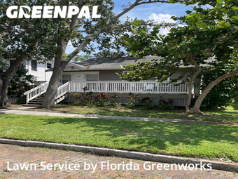 Grass Cut nearby St. Petersburg, FL, 