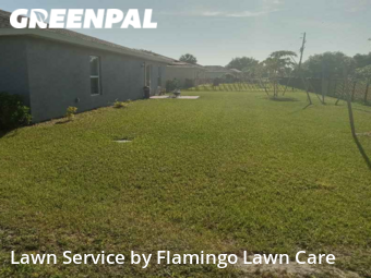 Grass Cut nearby Punta Gorda, FL, 