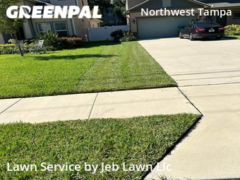 Grass Cut nearby Tampa, FL, 