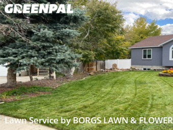 Grass Cutting nearby West Valley City, UT, 