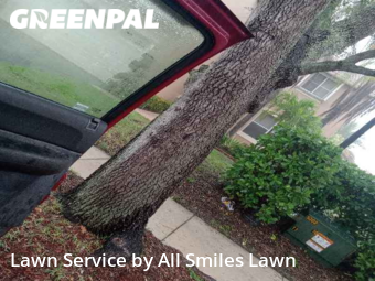 Lawn Maintenance nearby Weston, FL, 
