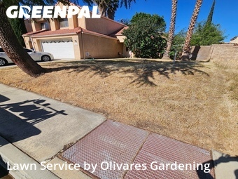 Lawn mowing work completed in Palmdale, CA