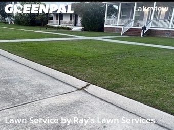 Yard Cutting nearby New Orleans, LA, 