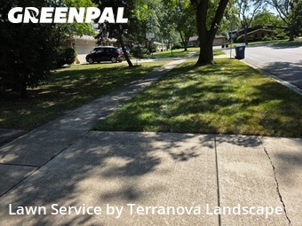 Turf Services in Darien, 60561, Lawn Care by Terranova Landscape, work completed in Nov , 2025