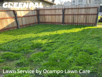 Grass Cutting nearby Mc Clellan Park, CA, 