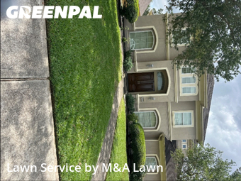Lawn Maintenancein League City,77573,Lawn Cut by M&A Lawn, work completed in Jun , 2026