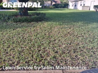 Grass Cut nearby St. Augustine, FL, 