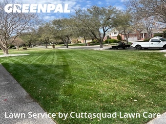 Lawn Cutting nearby Virginia Beach, VA, 