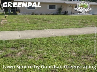 Lawn Cutting nearby Fort Myers, FL, 