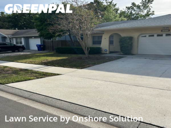 Grass Cut nearby Palm Harbor, FL, 