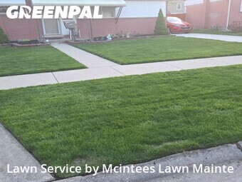 Grass Cutting nearby Southgate, MI, 