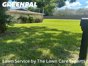 Grass Cutting nearby Lakeland, FL, 