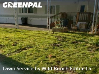 Lawn Mowing nearby Auburn, WA, 