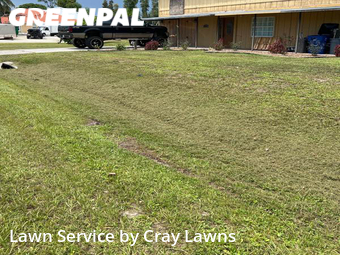 Lawn Cutting nearby Fort Myers, FL, 