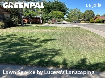 Lawn Care Service nearby Albuquerque, NM, 