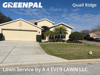 Lawn Mowing Service nearby Spring Hill, FL, 