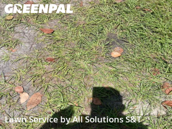 Lawn Mowing Service nearby Winter Haven, FL, 