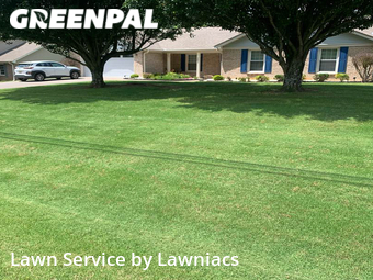 Lawn Cut nearby Harvest, AL, 