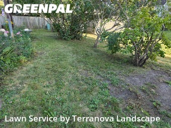 Lawn Mowin Aurora,60504,Yard Cutting by Terranova Landscape, work completed in Nov , 2025