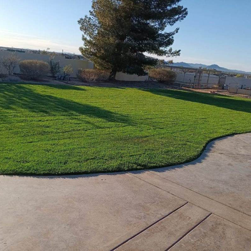 affordable-lawn-services-in in Jurupa Valley, CA