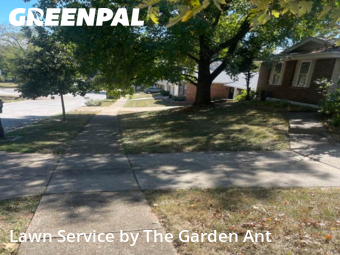 Lawn Care Servicein Ballwin,63021,Lawn Mow by The Garden Ant , work completed in Nov , 2025