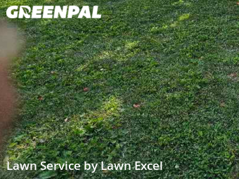 Lawn Mow nearby Greenwood, IN, 