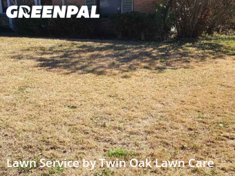 Grass Cut nearby Orange Park, FL, 
