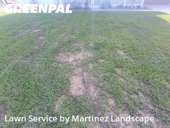 Grass Cut nearby Grand Island, FL, 