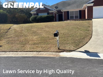 Yard Maintenance in Peachtree City, 30269, Backyard Mowing by High Quality , work completed in Dec , 2025