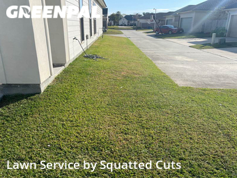 Lawn Service nearby Youngsville, LA, 