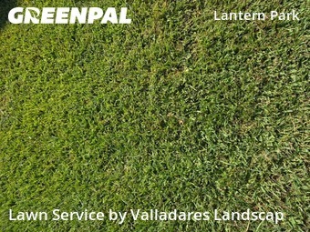 Lawn Cuttingin Baytown,77521,Yard Cutting by Valladares Landscap, work completed in Mar , 2026
