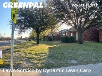 Lawn Service nearby Plano, TX, 