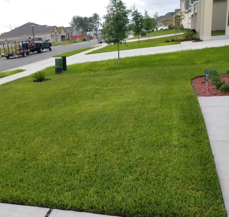 S&G Quality Services Lawn Care Services in Apopka, FL