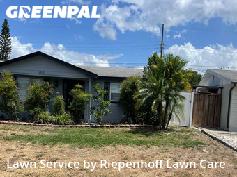 Lawn Maintenance nearby Holiday, FL, 