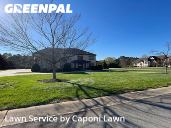 Grass Cut nearby Waxhaw, NC, 