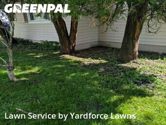 Grass Cutting nearby Fairview Park, OH, 