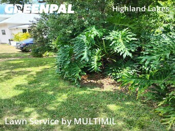 Yard Mowingin Clearwater,33756,Lawn Service by MULTIMIL , work completed in Jun , 2026