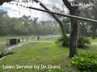 Lawn Service nearby New Port Richey, FL, 