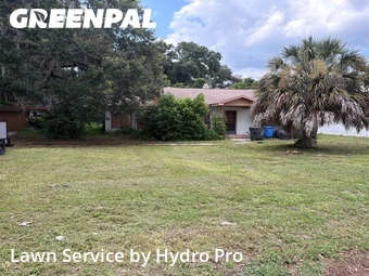 Lawn Cutting nearby Brandon, FL, 
