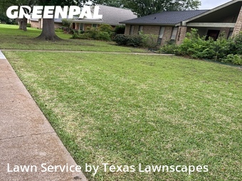 Lawn Care Service nearby Richardson, TX, 