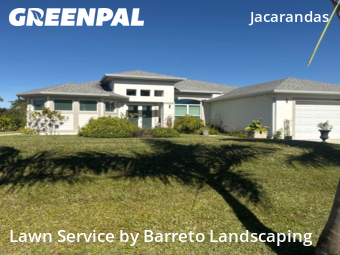 Landscaping Cleanup In Cape Coral,33909,Landscaping by Barreto Landscaping, work completed in Jan , 2026