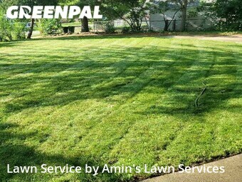 Yard Mowing nearby Livonia, MI, 