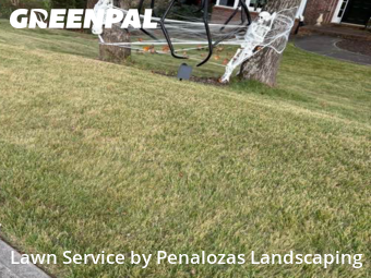 Lawn Service nearby Cumming, GA, 