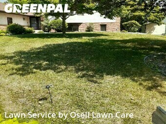 Lawn Mow nearby Plymouth, MN, 