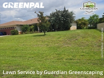 Grass Cut nearby Fort Myers, FL, 