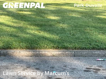 Grass Cut nearby Louisville, KY, 