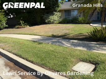 Work completed by lawn-mowing-quotes-in-Los Angeles-CA