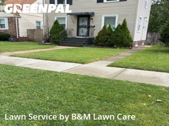 Yard Management in Dolton, 60419, Lawn Services by B&M Lawn Care, work completed in Nov , 2025